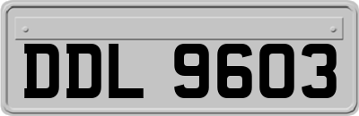 DDL9603