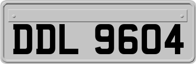 DDL9604
