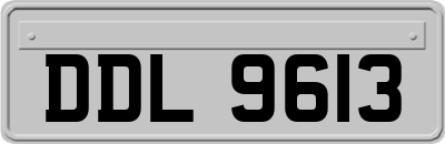 DDL9613
