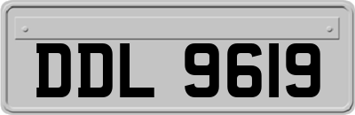 DDL9619