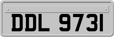 DDL9731