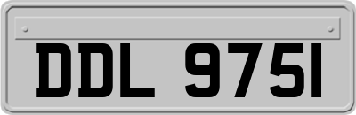 DDL9751
