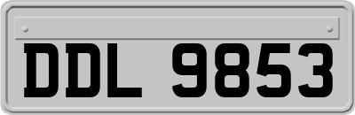 DDL9853