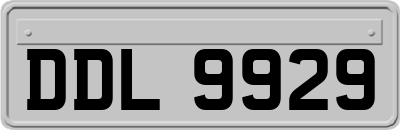 DDL9929
