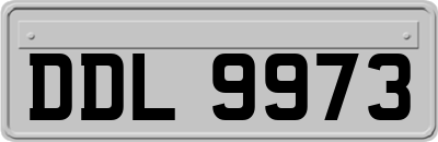 DDL9973