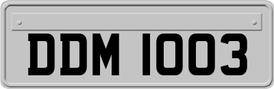 DDM1003