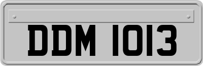 DDM1013