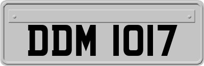 DDM1017