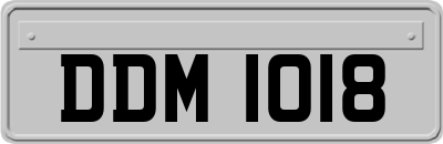 DDM1018