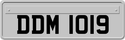 DDM1019