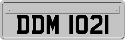 DDM1021