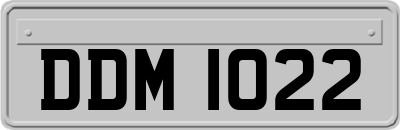 DDM1022
