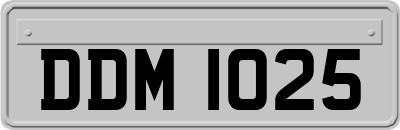 DDM1025