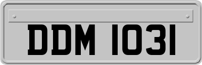 DDM1031