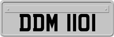 DDM1101
