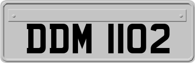 DDM1102