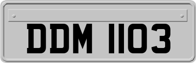 DDM1103