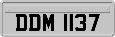 DDM1137