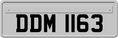 DDM1163
