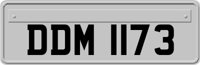 DDM1173