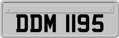 DDM1195