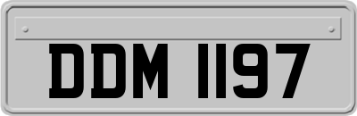 DDM1197
