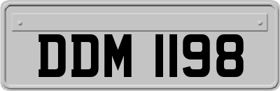 DDM1198