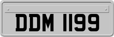 DDM1199