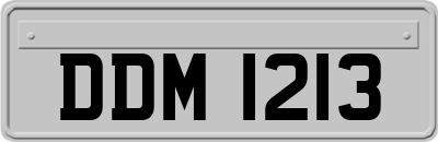 DDM1213