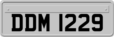 DDM1229
