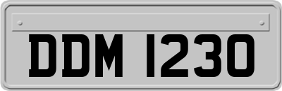 DDM1230
