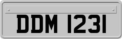 DDM1231