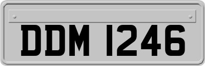 DDM1246