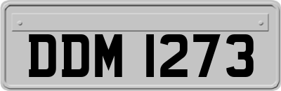 DDM1273