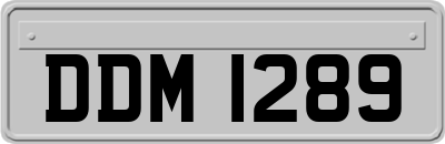 DDM1289
