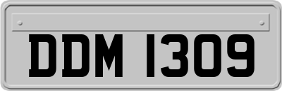 DDM1309