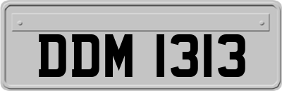 DDM1313