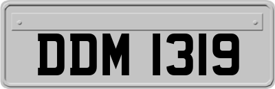 DDM1319