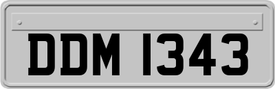 DDM1343