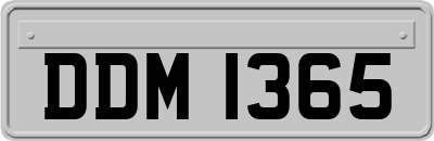 DDM1365