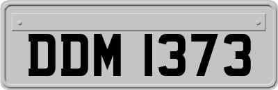 DDM1373