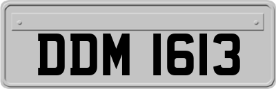 DDM1613