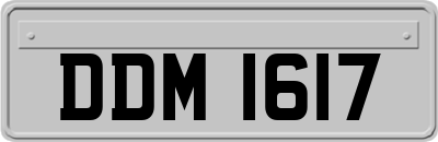 DDM1617