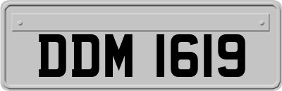 DDM1619