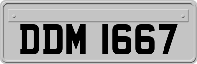 DDM1667