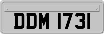 DDM1731