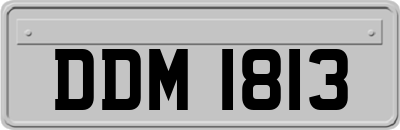 DDM1813