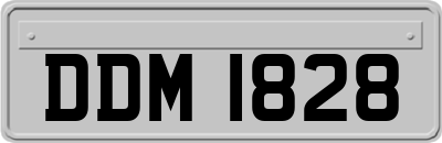 DDM1828
