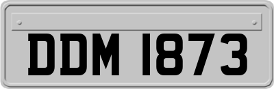 DDM1873
