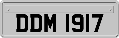 DDM1917